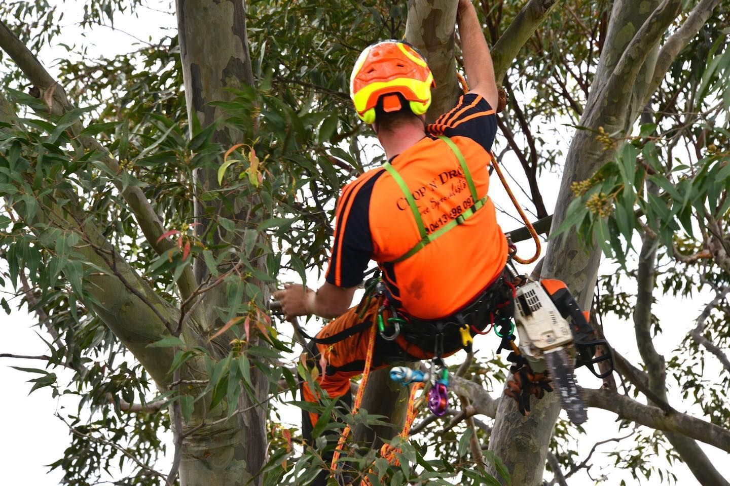 Rig: Ropes and anchor points planned so nothing free-falls.