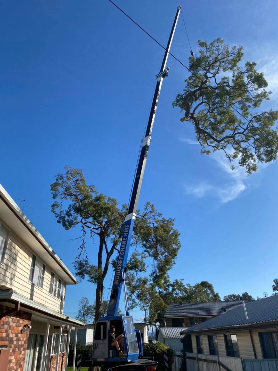 Crane-assisted removal working over a Newcastle home